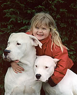 Donna with the dogs.